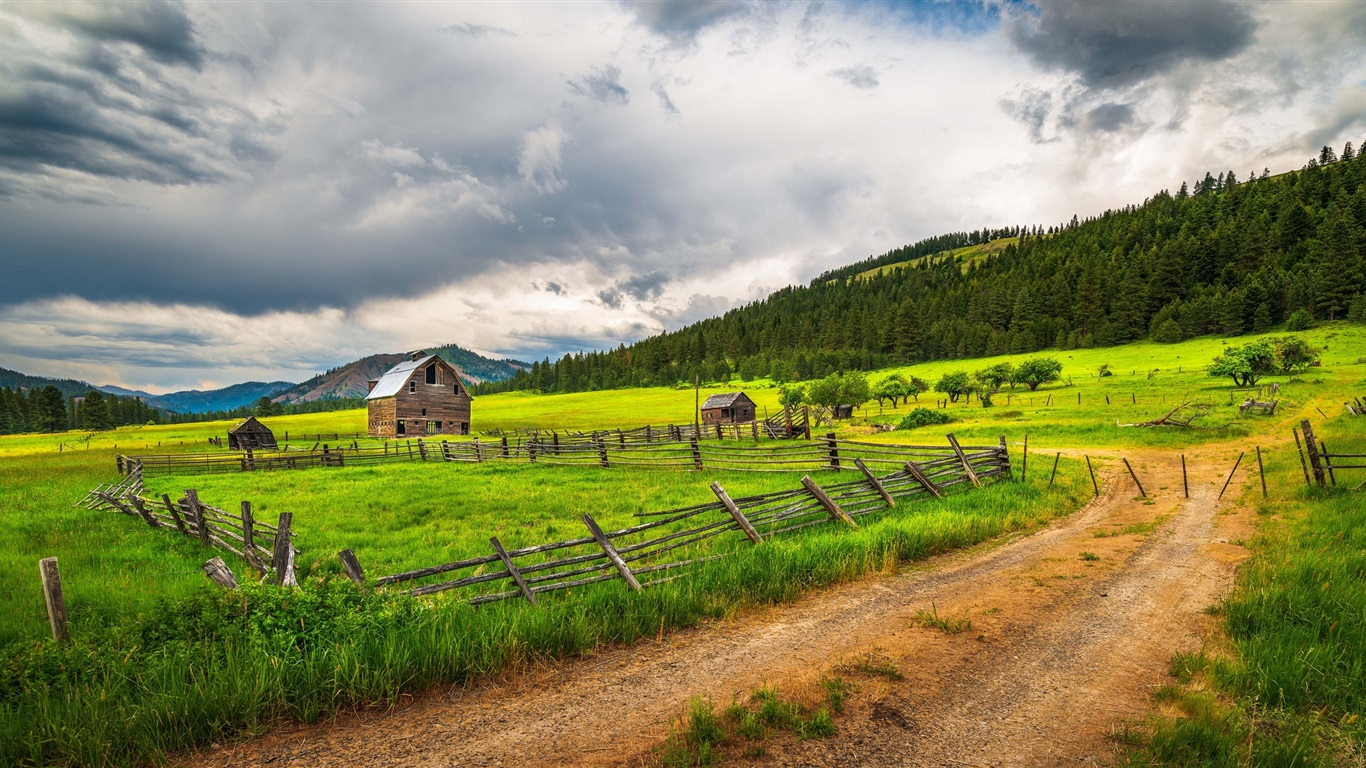 Countryside farmland fence grass trees road